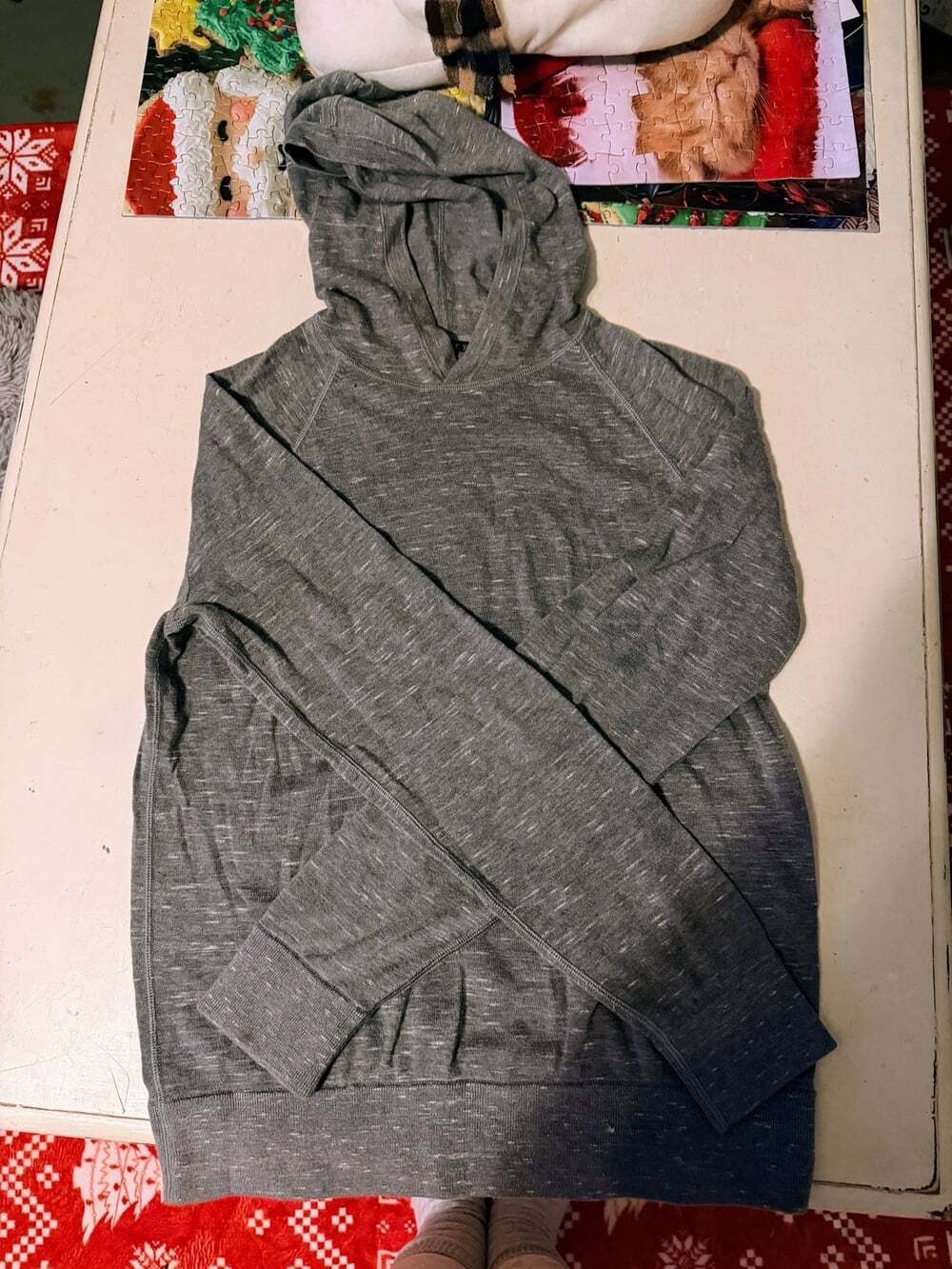 Theory Gray hoodie